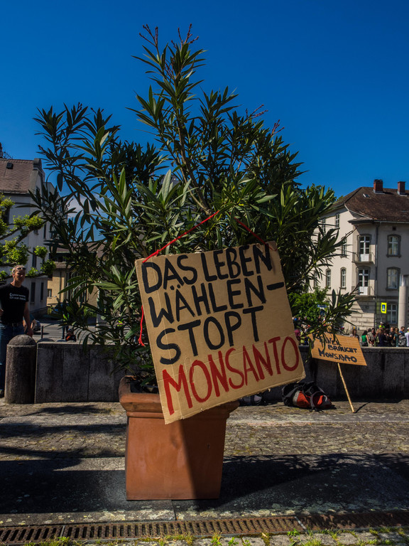 20140524_MIK_WW017 _1_.jpg