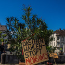 20140524_MIK_WW017 _1_.jpg