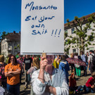 20140524_MIK_WW043 _1_.jpg