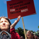 20140524_MIK_WW056 _1_.jpg