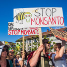 20140524_MIK_WW079 _1_.jpg