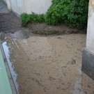 DSC_5214.JPG