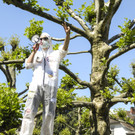DEMO gegen Monsanto, TTIP und Fracking 