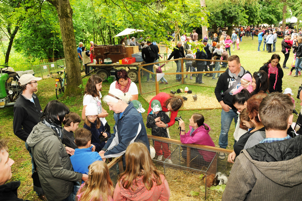 Tierausstellung 24-05-2014 167.jpg