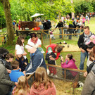 Tieraussxtellung bei Luisls Farm in Höchst