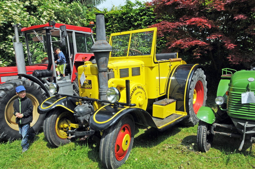Tierausstellung 24-05-2014 11.jpg
