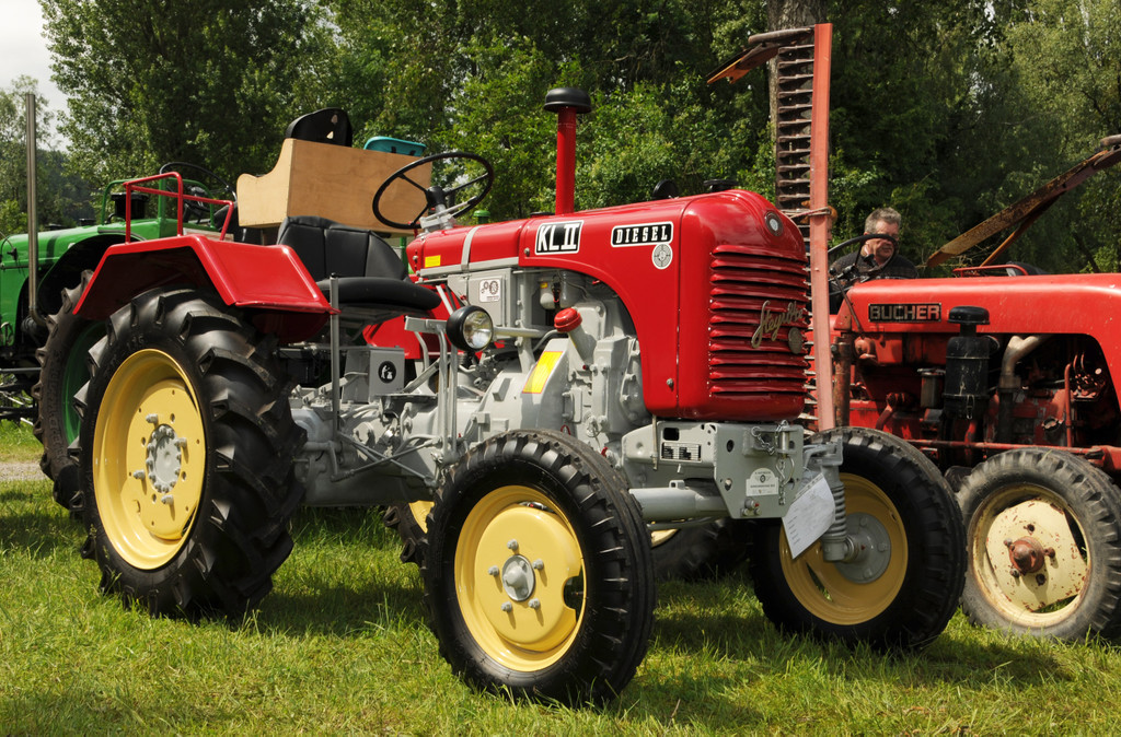 Tierausstellung 24-05-2014 15.jpg