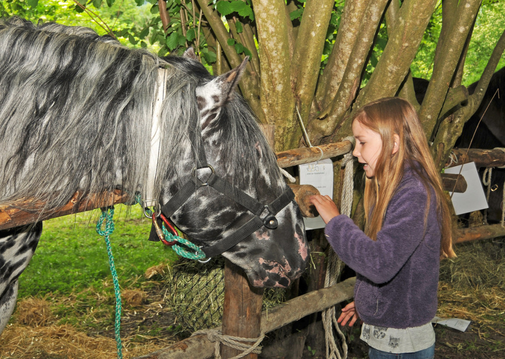 Tierausstellung 24-05-2014 97.jpg