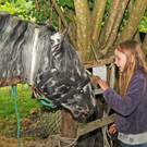 Tierausstellung 24-05-2014 97.jpg
