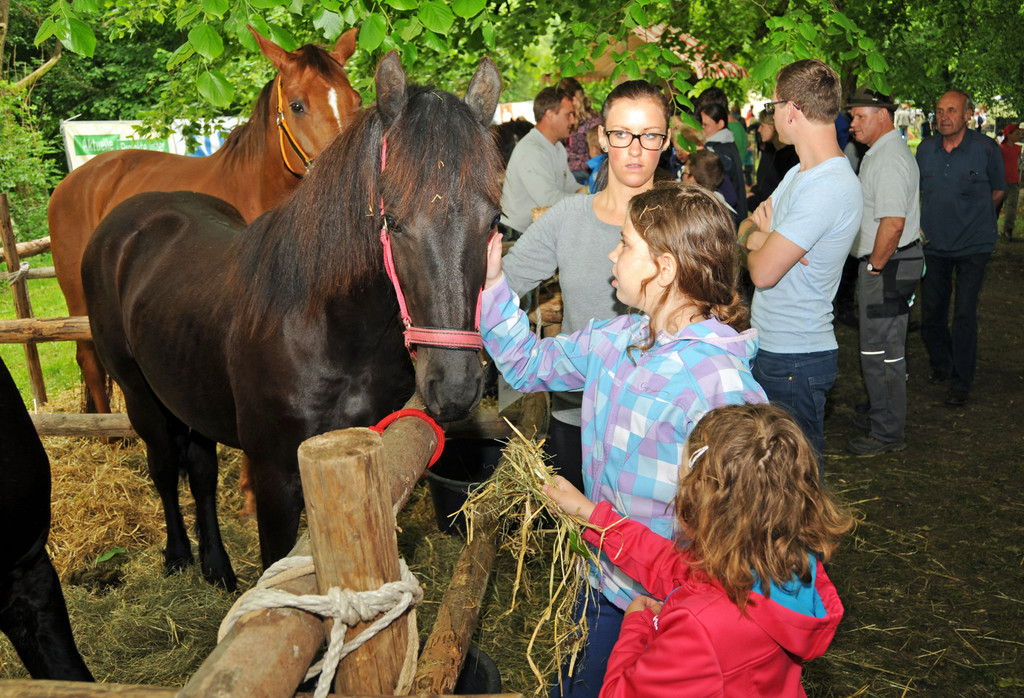 Tierausstellung 24-05-2014 98.jpg