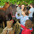 Tierausstellung 24-05-2014 98.jpg