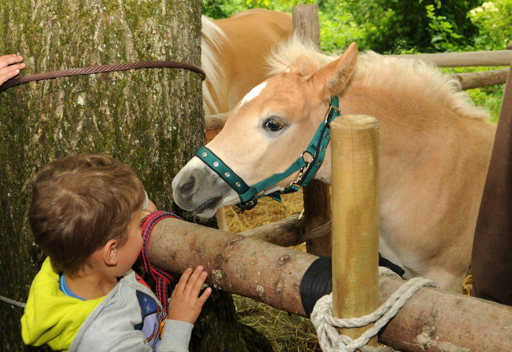 Tierausstellung 24-05-2014 100.jpg