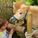 Tierausstellung 24-05-2014 100.jpg