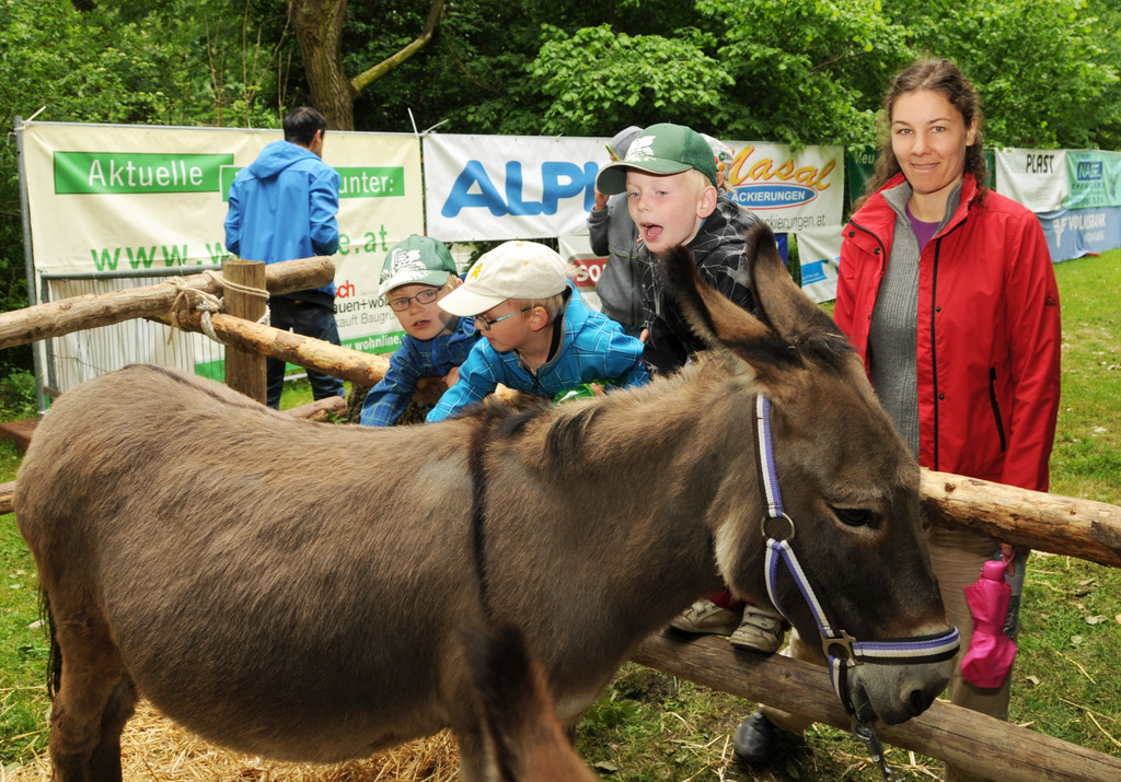 Tierausstellung 24-05-2014 108.jpg