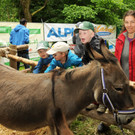 Tierausstellung 24-05-2014 108.jpg