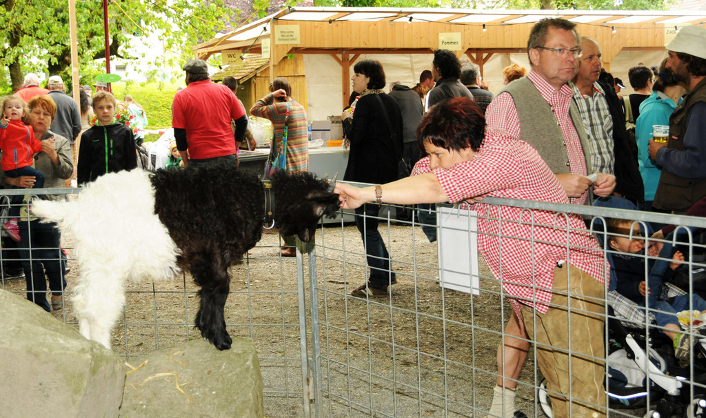Tierausstellung 24-05-2014 118.jpg