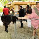 Tierausstellung 24-05-2014 118.jpg