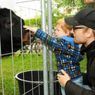 Tierausstellung 24-05-2014 126.jpg