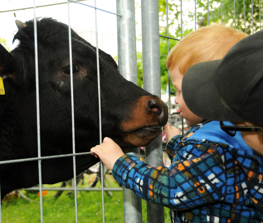 Tierausstellung 24-05-2014 127.jpg