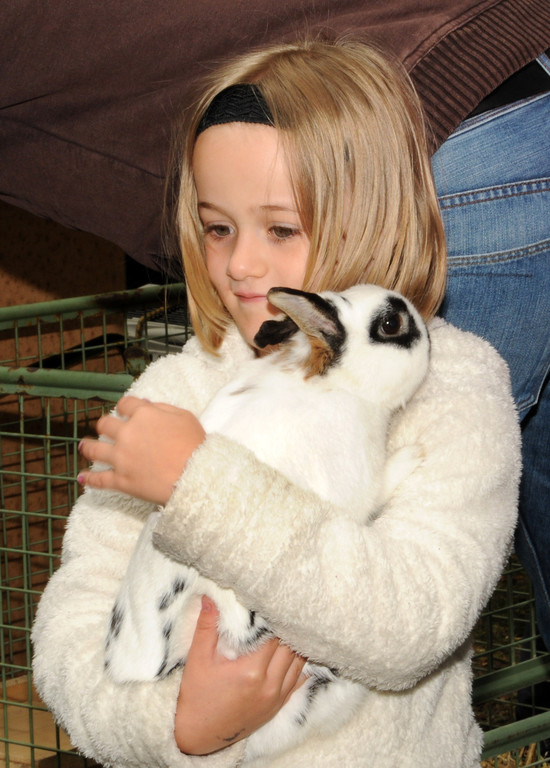 Tierausstellung 24-05-2014 133.jpg