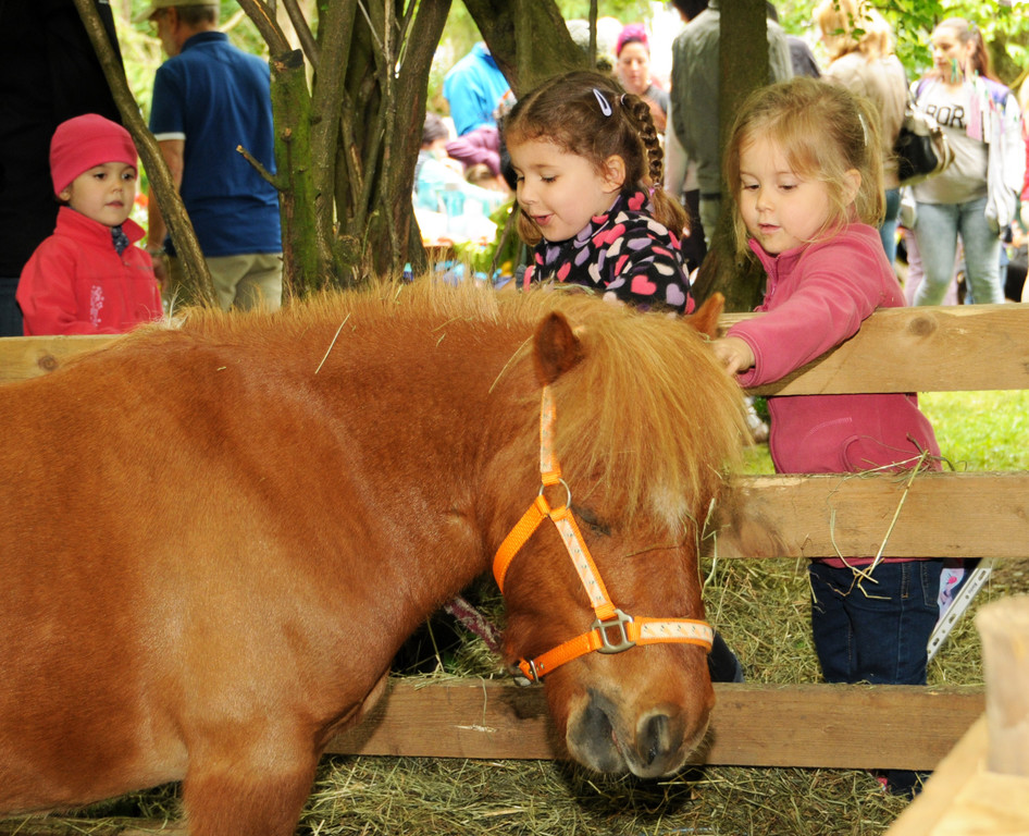 Tierausstellung 24-05-2014 152.jpg
