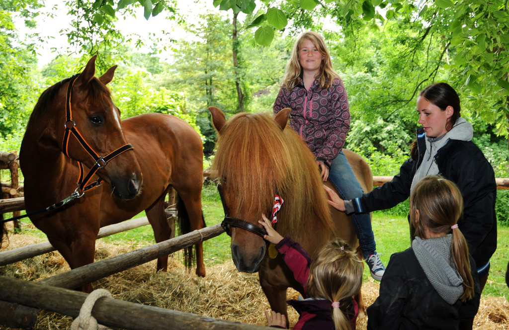 Tierausstellung 24-05-2014 177.jpg