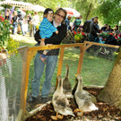 Tierausstellung 24-05-2014 188.jpg