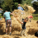 Tierausstellung 24-05-2014 192.jpg