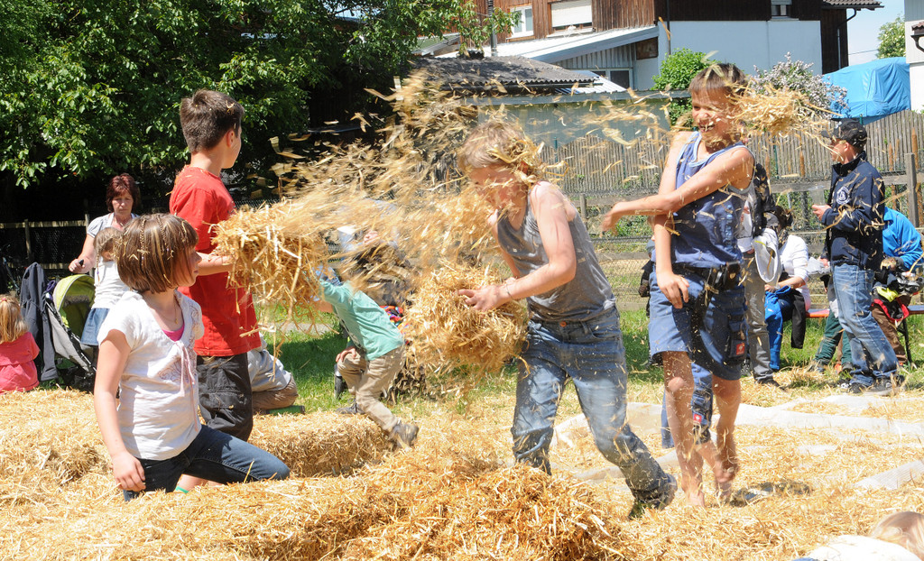 Tierausstellung 24-05-2014 198.jpg
