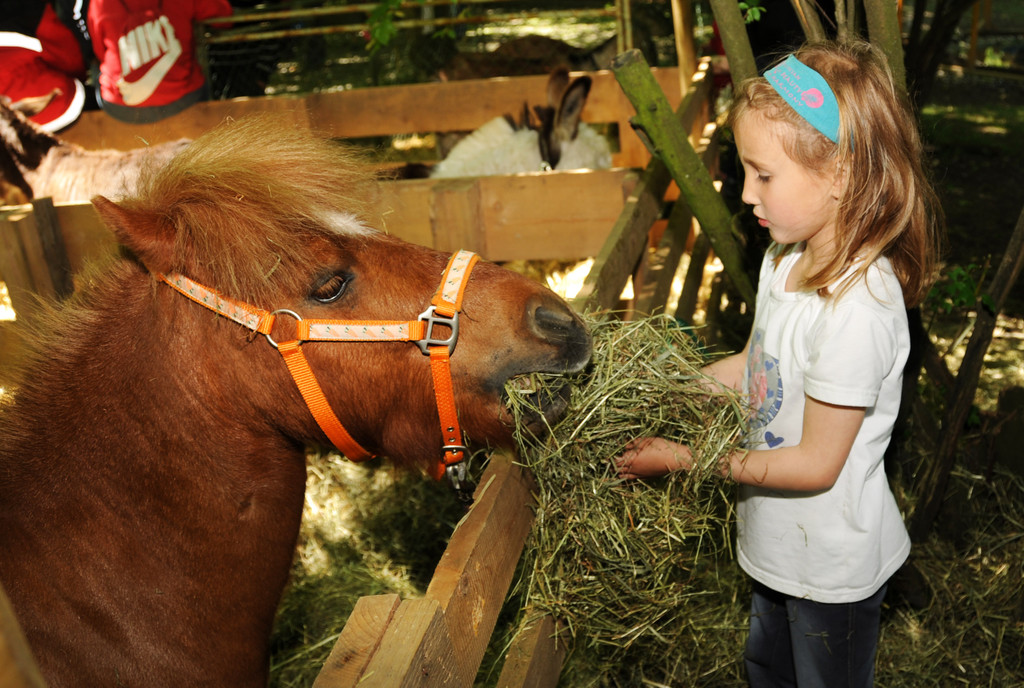 Tierausstellung 24-05-2014 205.jpg