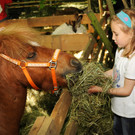 Tierausstellung 24-05-2014 205.jpg