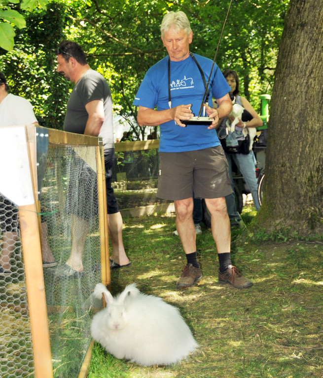 Tierausstellung 24-05-2014 241.jpg
