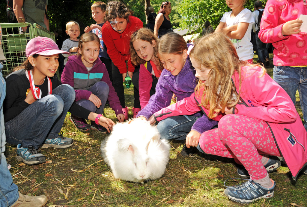 Tierausstellung 24-05-2014 253.jpg
