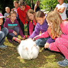 Tierausstellung 24-05-2014 253.jpg