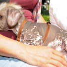 Tierausstellung 24-05-2014 321.jpg