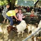 Tierausstellung 24-05-2014 281.jpg
