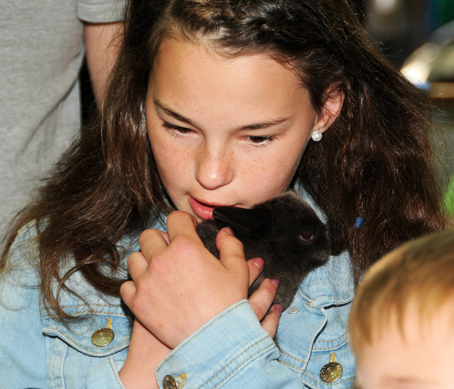 Tierausstellung 24-05-2014 290.jpg