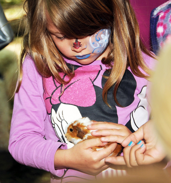 Tierausstellung 24-05-2014 294.jpg
