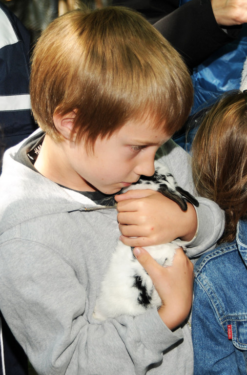 Tierausstellung 24-05-2014 297.jpg