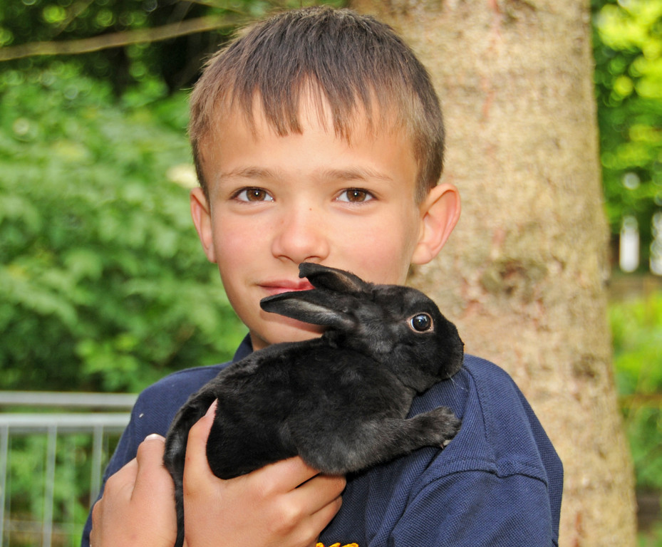 Tierausstellung 24-05-2014 Daniel 80.jpg