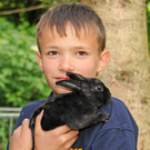 Tierausstellung 24-05-2014 Daniel 80.jpg