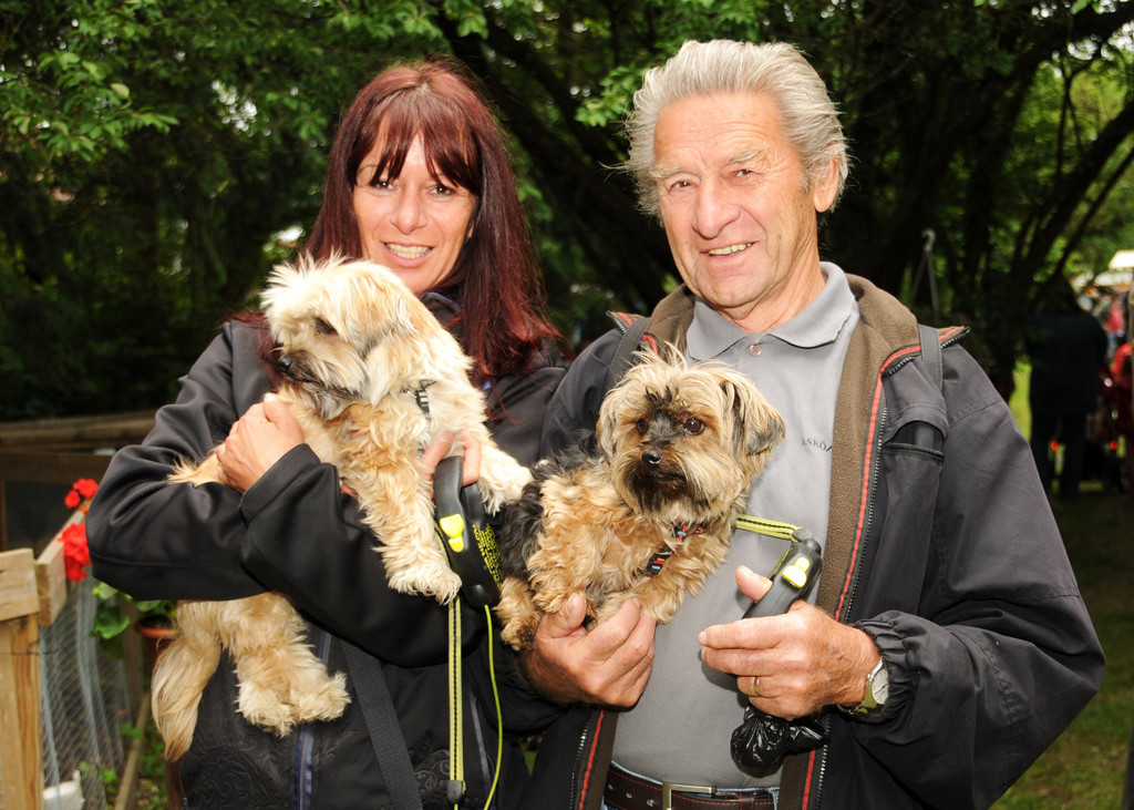Yorkshire-Malteser_Yorkshire-Terrier.jpg