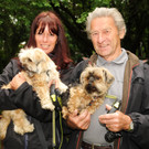 Yorkshire-Malteser_Yorkshire-Terrier.jpg