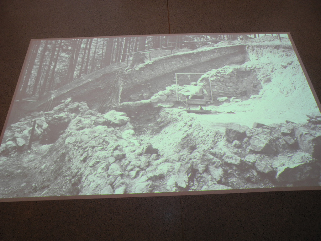 DSCN3120.JPG
