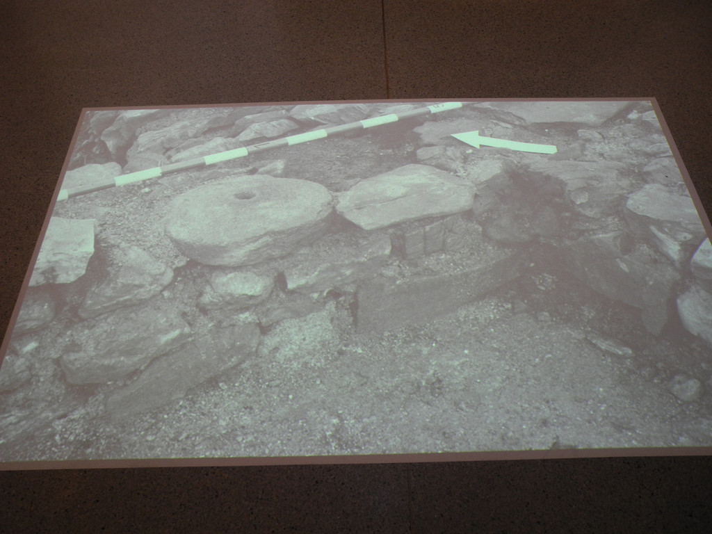 DSCN3121.JPG