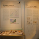 DSCN3123.JPG