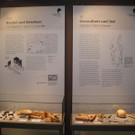 DSCN3130.JPG