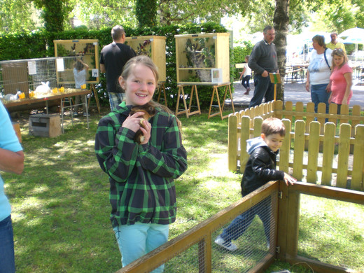 Freilandschau 14.JPG