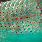 IMG -16.JPG