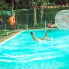 IMG -26.JPG